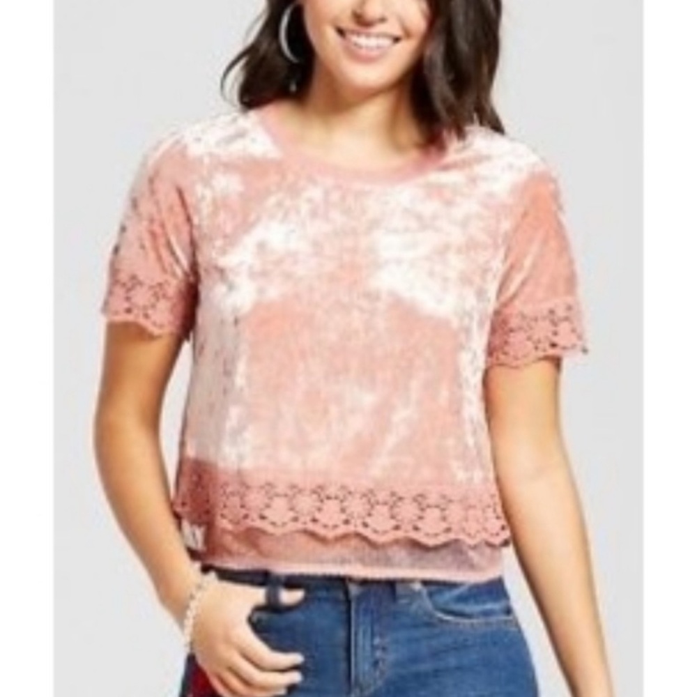 Pink Maueve Velvet Lace Crop Top